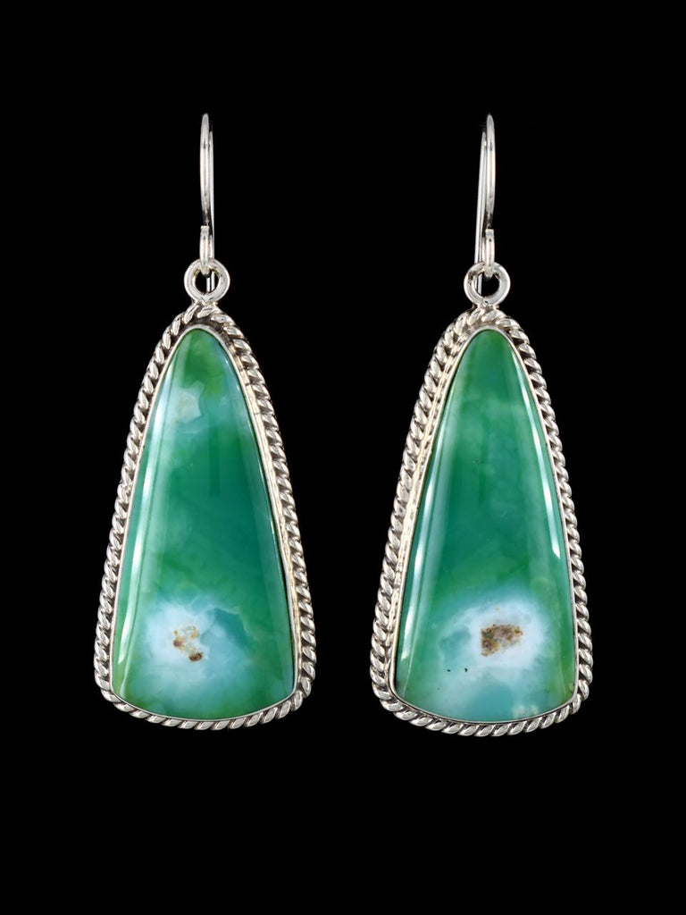 Native American Opalized Petrified Wood Sterling Silver Dangle Earrings - PuebloDirect.com