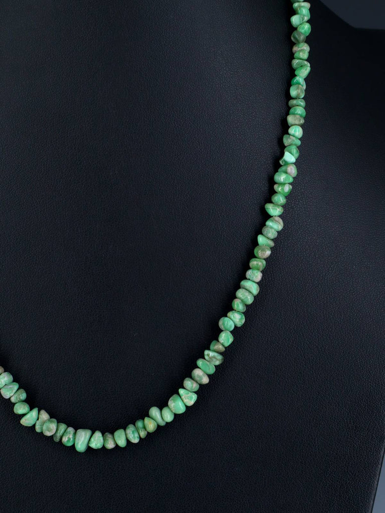 Navajo Single Strand Lucin Variscite Necklace - PuebloDirect.com