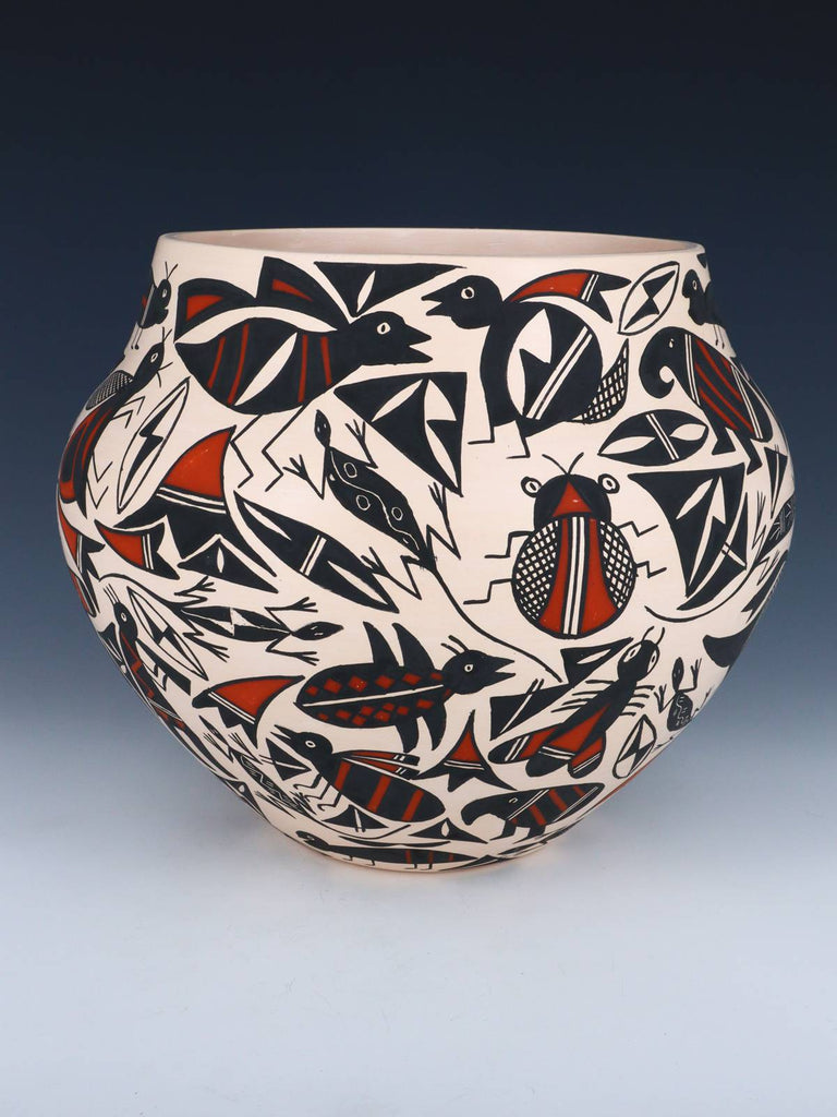 Large Acoma Hand Coiled Pottery Bowl - PuebloDirect.com