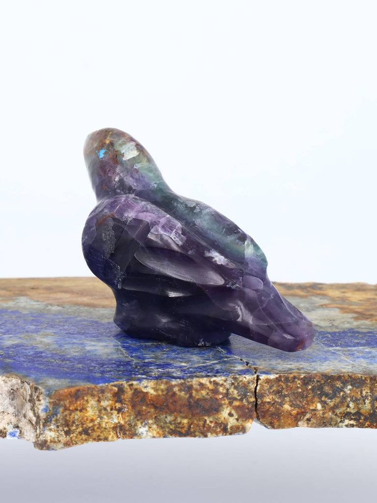 Fluorite Bird Zuni Fetish Carving - PuebloDirect.com