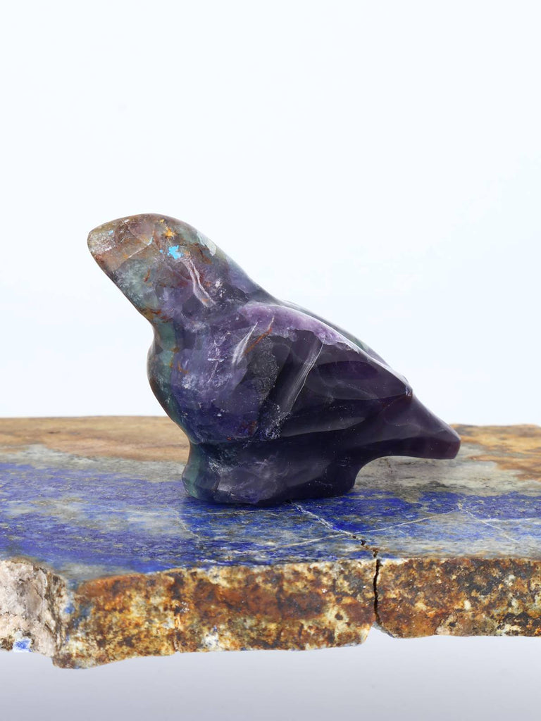 Fluorite Bird Zuni Fetish Carving - PuebloDirect.com