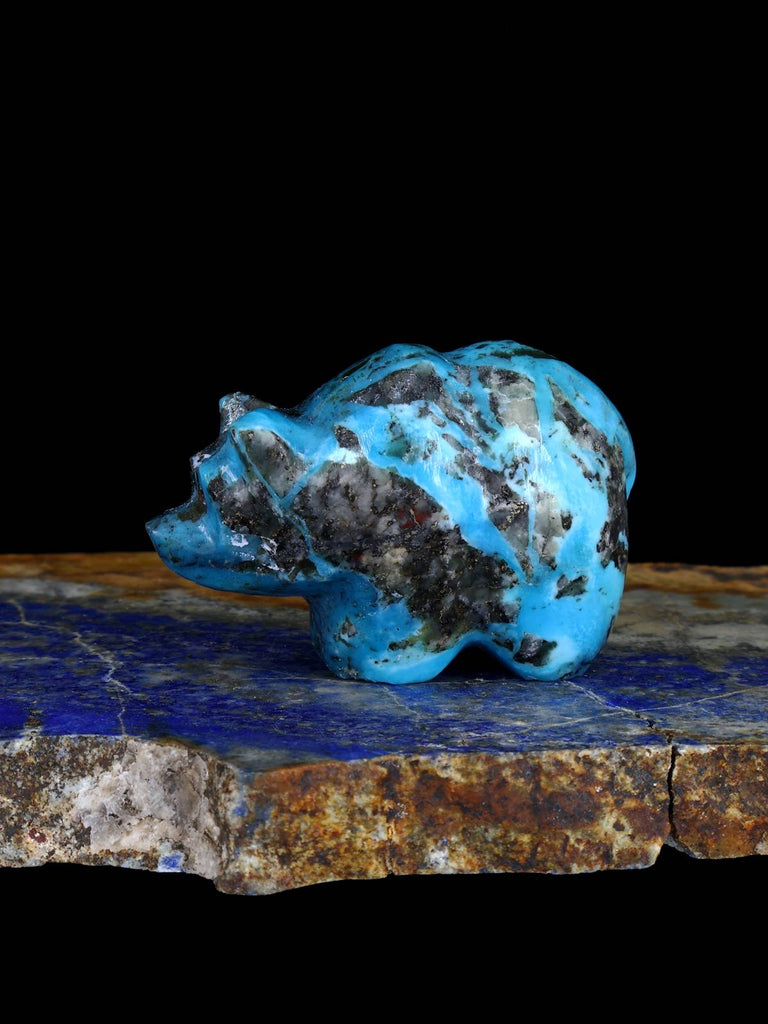 Turquoise Bear Zuni Fetish - PuebloDirect.com