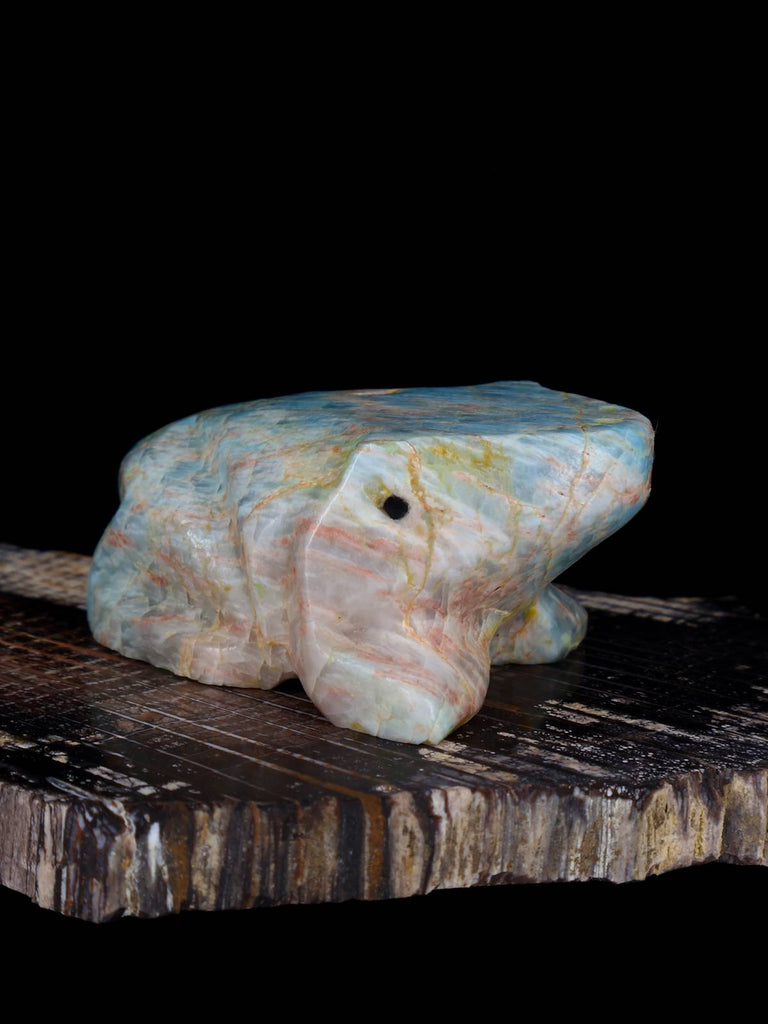 Apatite Frog Zuni Fetish - PuebloDirect.com