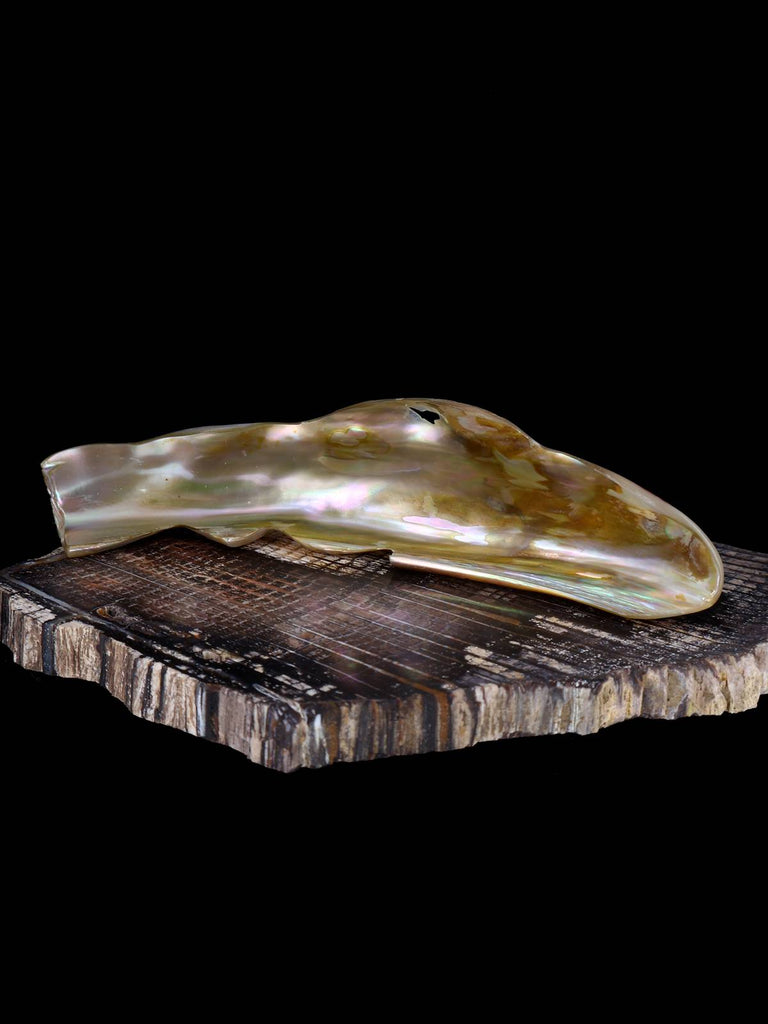 Abalone Fish Zuni Fetish - PuebloDirect.com