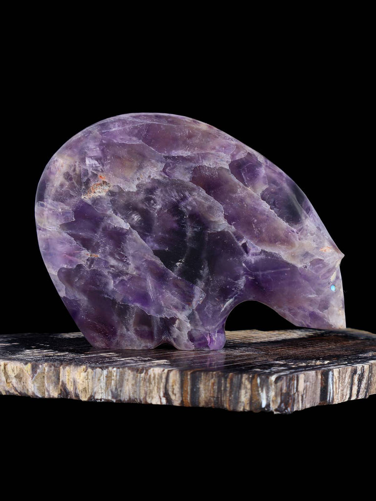 Chevron Amethyst Medicine Bear Zuni Fetish - PuebloDirect.com